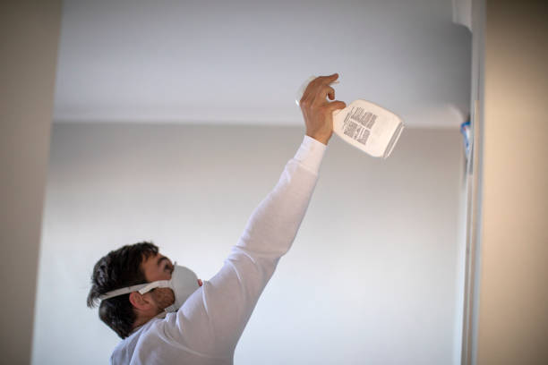 Best Emergency Mold Remediation in Indianola, WA